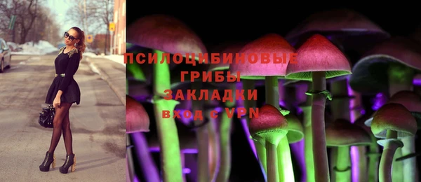 mix Богородицк
