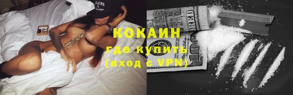 mix Богородицк