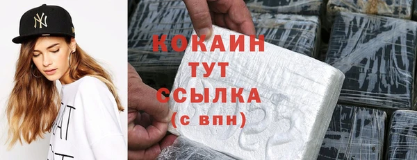 гашиш Богданович