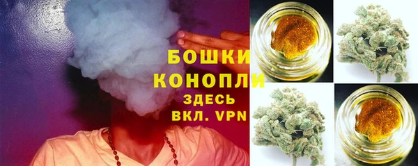 mix Богородицк