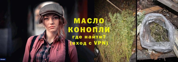 mix Богородицк