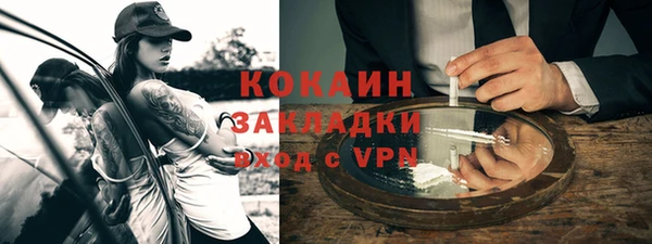mix Богородицк