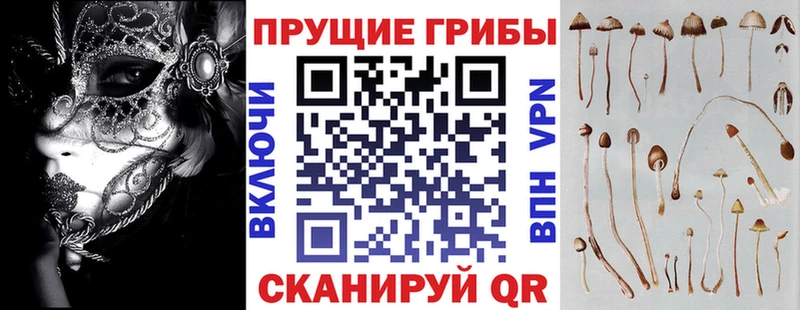 Галлюциногенные грибы прущие грибы  наркошоп  Вилючинск 
