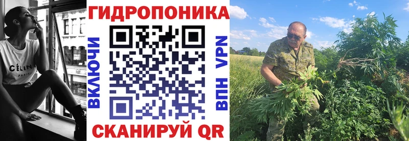 Шишки марихуана семена Вилючинск